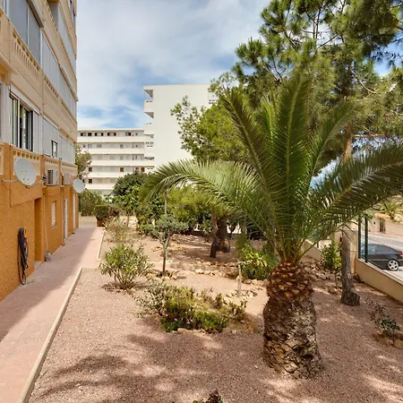 Апартаменты Estudio La Mata Торевьиа